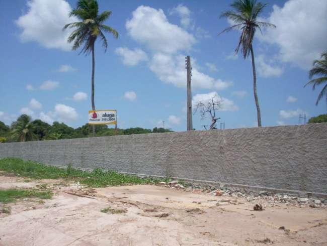ROD. BR-116, 0 KM 19 OFICIAL RUA EDUARDO SA 175