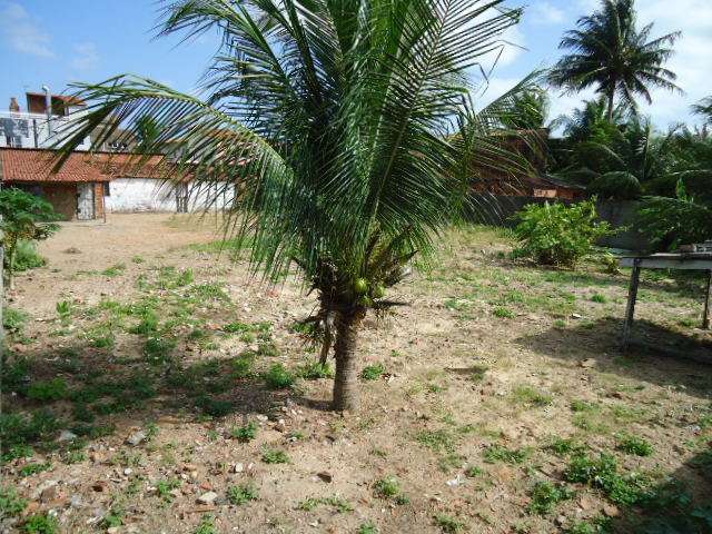 AV. PRESIDENTE CASTELO BRANCO, 3916 CRISTO REDENTOR VISITA PROGRAMADA