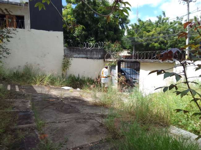 R. CORONEL ALVES TEIXEIRA, 1931