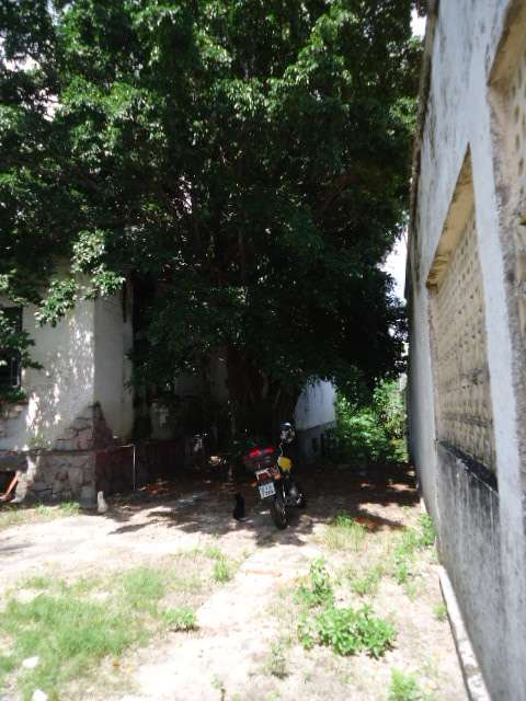 AV. FILOMENO GOMES, 660