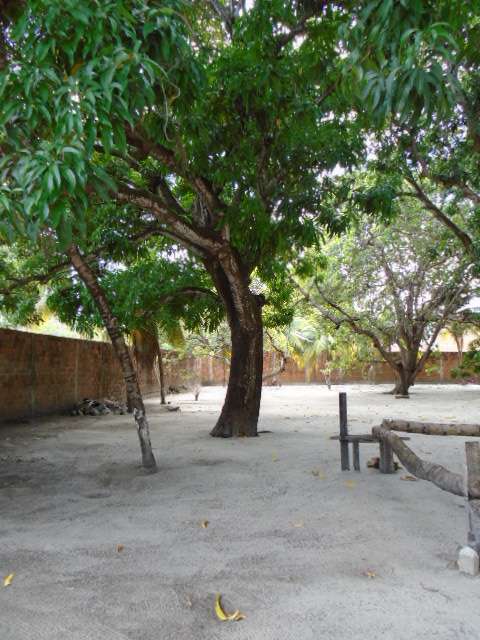 ANTONIO DOS SANTOS, 369