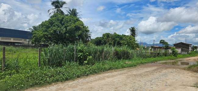 SANTA ADELAIDE, EM FRENTE AO NÚMERO, 137 EM FRENTE AO Nº 137
